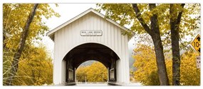 Tablou cu podul în Oregon (120x50 cm)