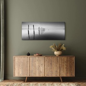 Tablou cu nivelul de lac alb negru (120x50 cm)
