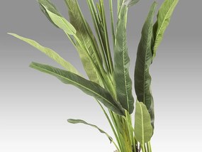 Planta artificiala decorativa Palma viajero, H240