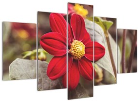 Tablou cu floare (150x105 cm)