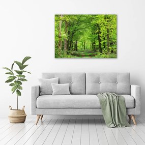 Tablou canvas Pădure de primăvară