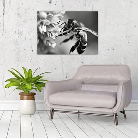 Tablou - Detaliu de albină (70x50 cm)