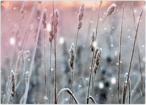 Tablou - Moment (70x50 cm)