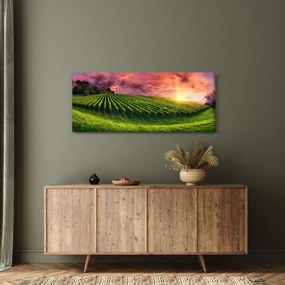Tablou cu vie cu cerul color (120x50 cm)