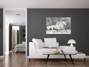Tablou - Cai albi în timpul iernii (90x60 cm)