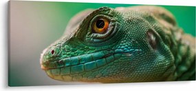 Tablou detailat cu o șopârlă (120x50 cm)