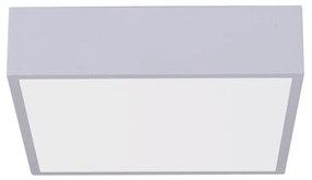 Plafonieră LED dimabilă Immax NEO 07238L CANTO 22W/230V alb Tuya + telecomandă