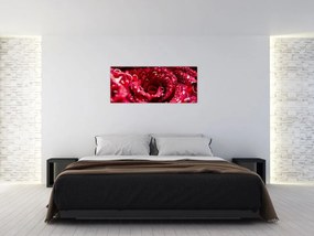 Tablou cu floarea trandafirului roșu (120x50 cm)