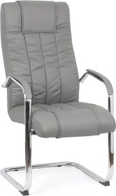 Scaun vizitator gri OFF 8115 din piele ecologică și cadru cromat tip sanie