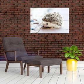 Tablou cu arici (90x60 cm)