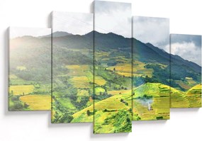 Tablou plantație (150x105 cm)