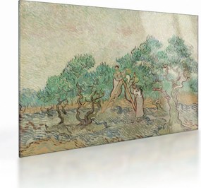 Tablou pe sticlă - Vincent van Gogh, The Olive Orchard, reproducere (70x50 cm)