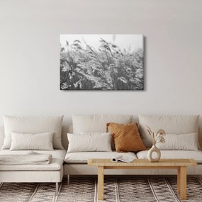 Tablou - Iarba în vânt (90x60 cm)