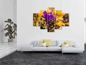 Tablou cu floare violetă (150x105 cm)