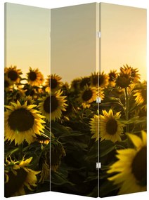 Paravan - Lan de floarea soarelui (126x170 cm)