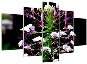 Tablou cu floare (150x105 cm)