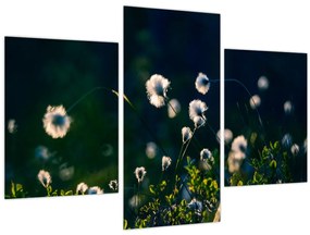 Tablou - Iarbă (90x60 cm)