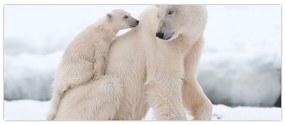 Tablou - Urs polar (120x50 cm)