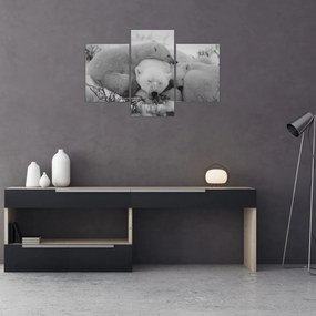 Tablou - Urși polari, alb-negru (90x60 cm)