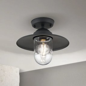 Lustră aplicată de exterior Orion AL 11-1317 EDWARD 1xE27/60W/230V IP44 negru