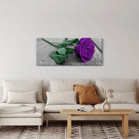 Tablou - Trandafir violet cu tulpina verde (120x50 cm)