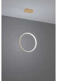 Lustră LED pe cablu RIO LED/30W/230V CRI95 4000K d. 55 cm auriu Thoro TH.221