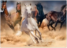 Tablou - Caii în deșert (70x50 cm)