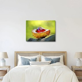 Tablou cu castani (70x50 cm)