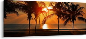 Tablou cu palmier în apus de soare (120x50 cm)