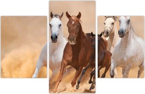 Tablou - Herghelie de cai (90x60 cm)