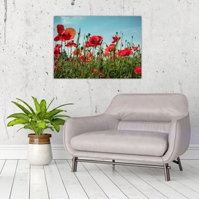 Tablou pe sticlă - Pe câmpul cu maci (70x50 cm)