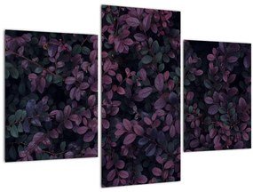 Tabou - Frunze roșu închis (90x60 cm)