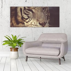 Tablou cu tigrul (120x50 cm), în 40 de alte dimensiuni noi