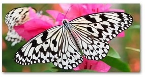 Tablou pe acril Fluture pe o floare