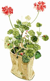 Pictura pe numere cu un cadru "Geraniums" 50x40 cm