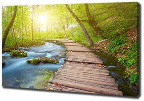 Imprimare tablou canvas Calea în pădure
