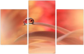 Tablou picăturii de rouă pe floare (90x60 cm)