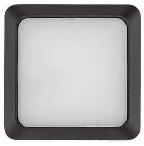 Aplica de perete LED pentru iluminat exterior IP54 APPIA