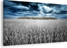 Tablou cu câmp (90x60 cm)