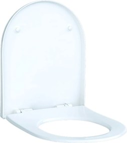 Capac wc Geberit Acanto