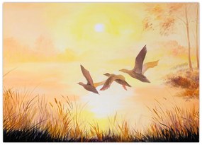 Tablou - Macarale la apus de soare (70x50 cm)