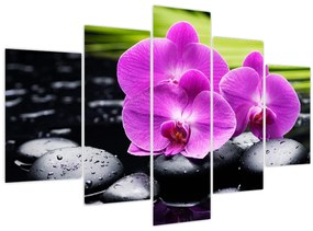 Tablou - Orhidee (150x105 cm)