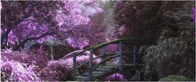 Tablou - copaci violeți (120x50 cm)