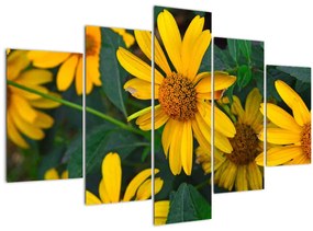 Tablou cu flori galbene (150x105 cm)