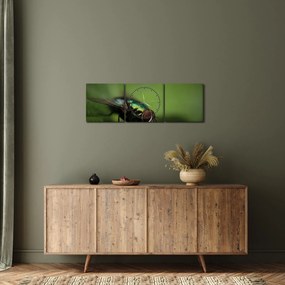 Tablou - Musca (cu ceas) (90x30 cm)