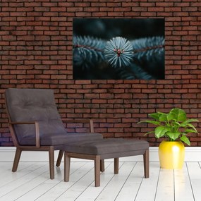 Tablou -Crenguțe ale unui conifer (90x60 cm)