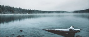 Tablou - lacul nordic înghețat (120x50 cm)