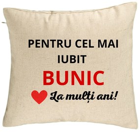 Perna Decorativa pentru Bunicul 3, 40x40 cm, Bej, Husa Detasabila, Burduf