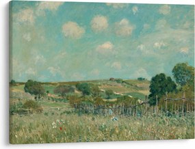 Tablou - Alfred Sisley, Meadow, reproducere (70x50 cm)