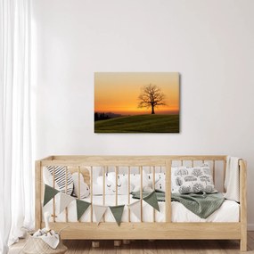 Tablou cu apus de soare pe o luncă (70x50 cm)